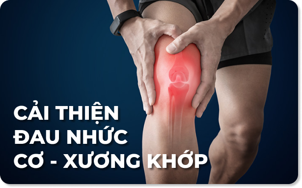 Bài viết dịch vụ
