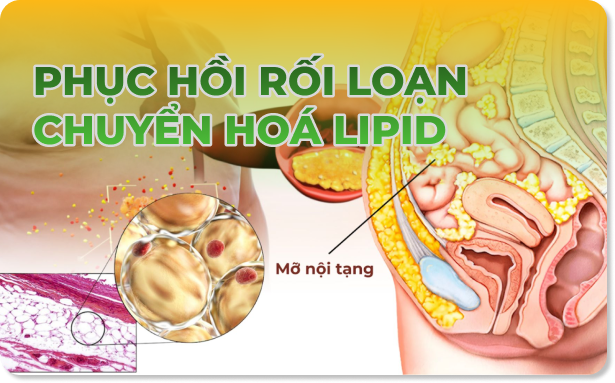 Bài viết dịch vụ